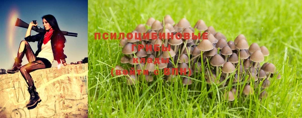 бутират Беломорск