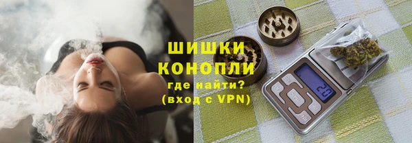 спайс Баксан