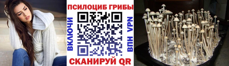 как найти наркотики Котово Псилоцибиновые грибы GOLDEN TEACHER